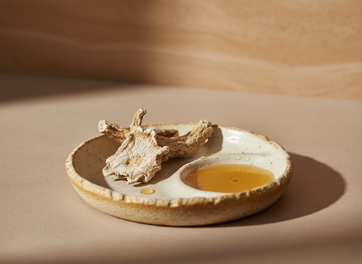 Angelica Root Oil: A Warming Botanical for Skin Balance