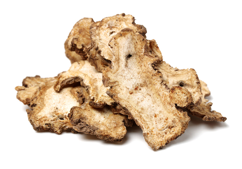 Angelica Root